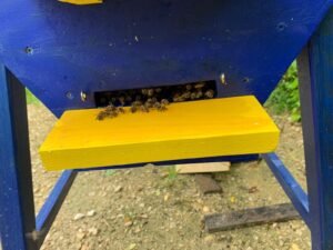 whatsapp image 2024 06 28 a 08.52.36 e8f3084c