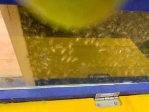 whatsapp image 2024 06 28 a 08.56.14 c7f5be05