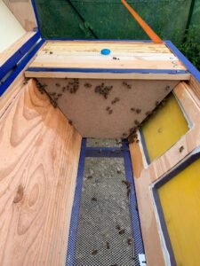 whatsapp image 2024 06 28 a 08.56.16 67b8e324