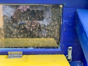 whatsapp image 2024 06 28 a 08.56.17 683603b9