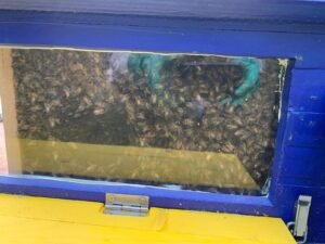 whatsapp image 2024 06 28 a 08.59.57 36d1417e